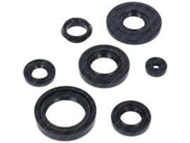 Seal set Complete Yamaha FS1 / DX