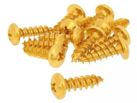 Schroeven set 6mm x 20mm Geanodiseerd Goud 12-Delig Universeel