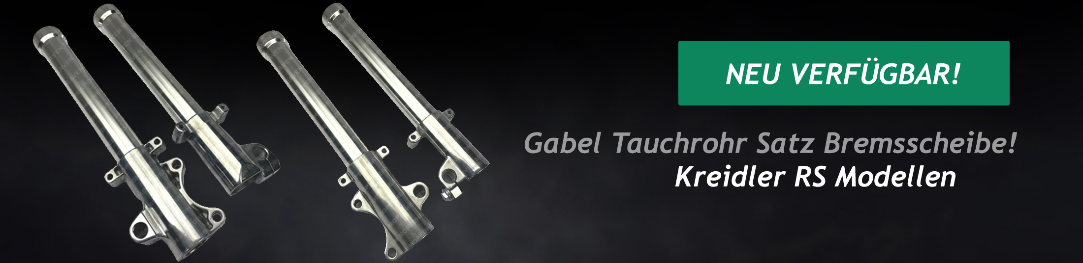 Tauchrohr Satz Bremsscheibe Kreidler RS
