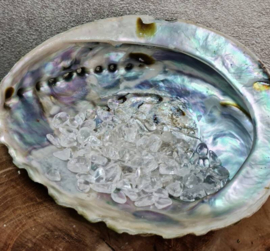 Abalone schelp- op en ontlaad set- XL