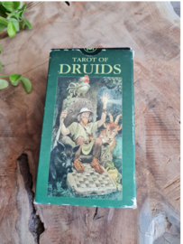 Tarot of the druids