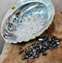 Abalone schelp- op en ontlaad set- XL