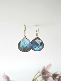 Labradoriet oorbellen  14k goldfilled & 925 sterling zilver