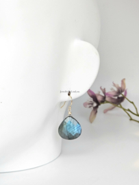 Labradoriet oorbellen  14k goldfilled & 925 sterling zilver