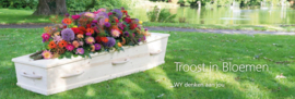 troost in bloemen BOEK