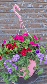 Buiten planten 
