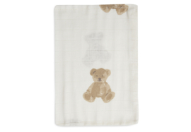 Washandje Hydrofiel Teddy Bear 3-Pack