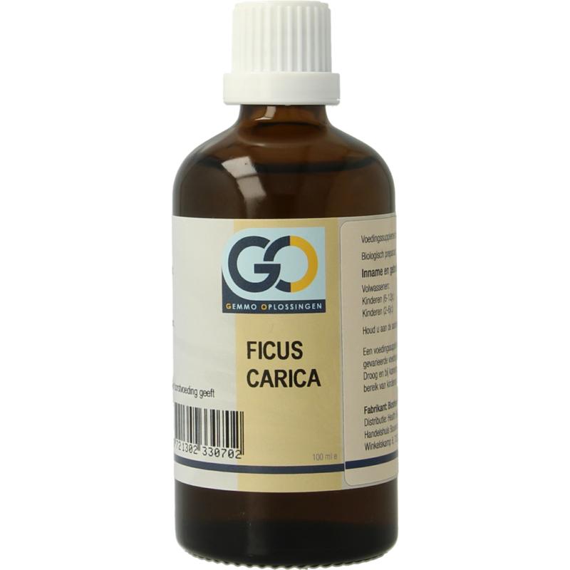 GO Ficus Carica 100ml