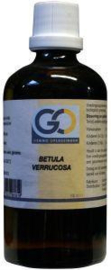 Go Betula Verrucosa (Ruwe Berk)
