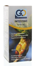 GO Intestino