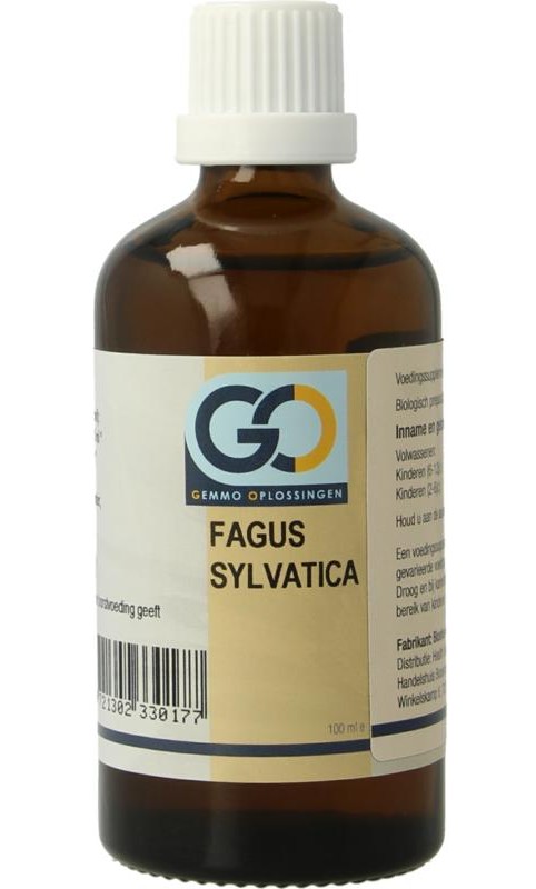 GO Fagus Sylvatica 100ml