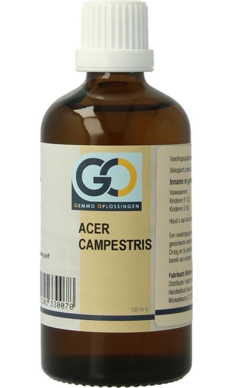 GO Acer Campestris 100ml