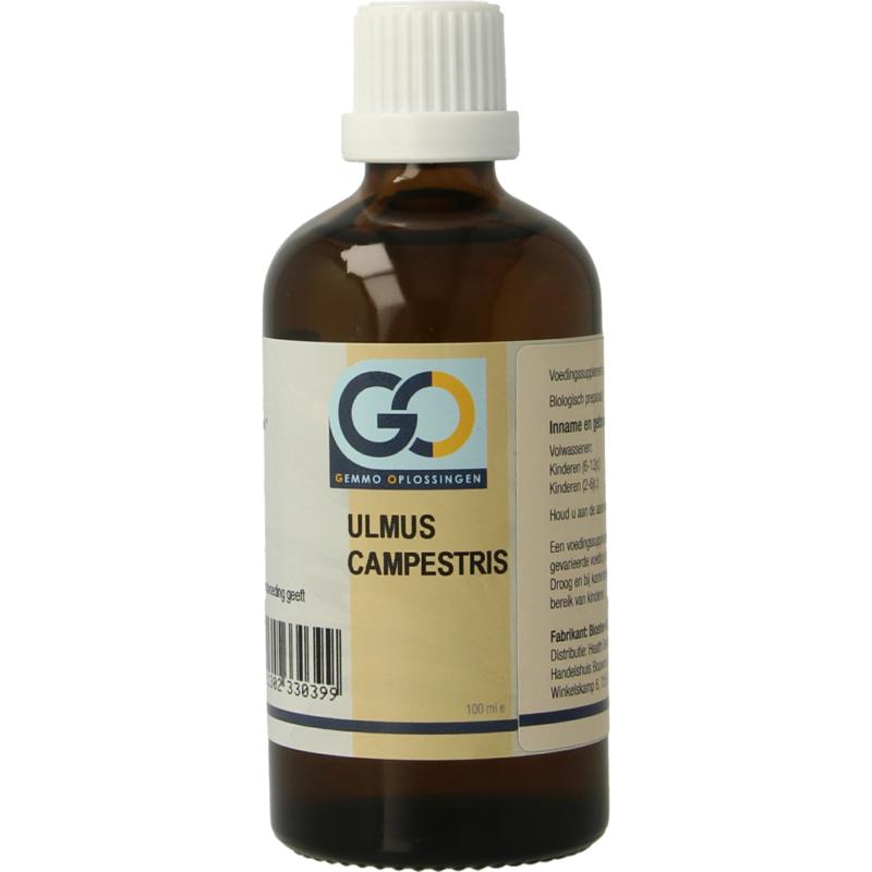 GO Ulmus Campestris 100ml