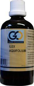 GO Ilex Aquifolium 100ml