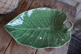 Large leaf sunflower