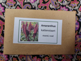Amaranthus staand rood