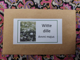 Witte dille (Ammi majus)