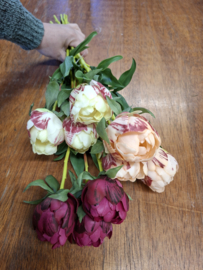 Real feel pioenrozen