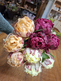 Real feel pioenrozen