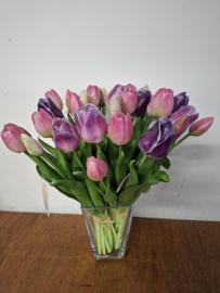 Tulpen 'real touch'