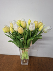 Tulpen 'real touch'