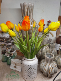 Tulpen 'real touch'