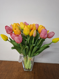 Tulpen 'real touch'