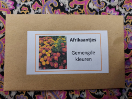 Afrikaantjes