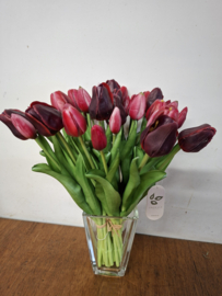 Tulpen 'real touch'