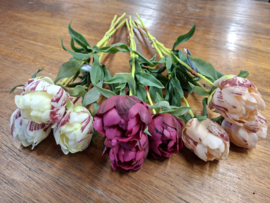 Real feel pioenrozen