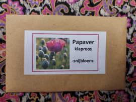 Papaver