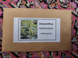 Amaranthus staand groen