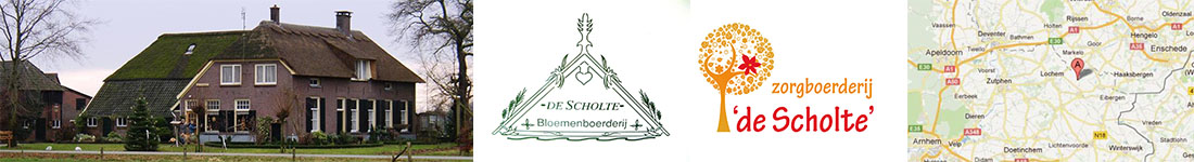 De Scholte