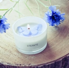 SOJAKAARS - STERKTE - FRESH COTTON