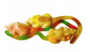 TROLLI MUIZEN