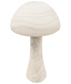 Paddenstoel klein