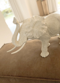 Olifant