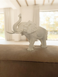 Olifant