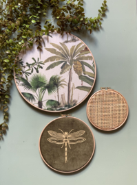 Muurhangerset palm libelle