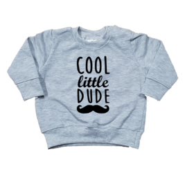 Sweater | Cool little dude