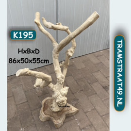 Vogelspeelboom K195