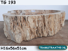 Versteend hout waskom TG193 (56x51cm)