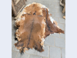 Geitenvachten (±100x±70cm)