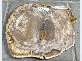 Versteend hout plak D332 (30x26cm)