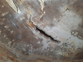 Versteend hout schijf XL GG05