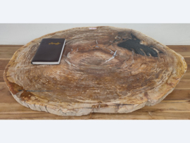 Versteend hout salontafelblad D962 (94x67cm)
