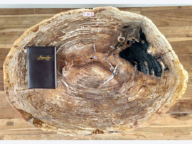 Versteend hout salontafelblad D962 (94x67cm)