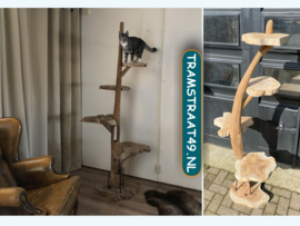 Katten krabpalen teakhout ±180 cm hoog