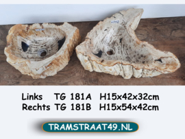 Versteend hout wastafel set TG181