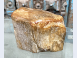 Versteend hout stam klein L243